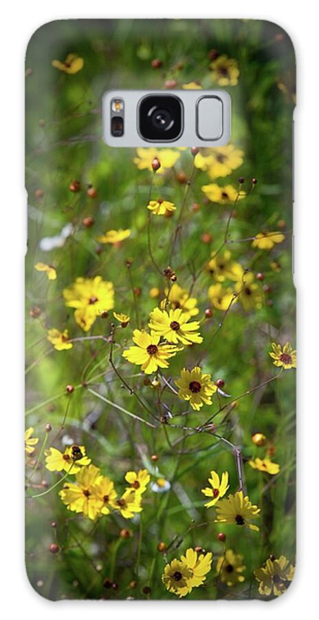 Flower Galaxy Case featuring the photograph Beautiful Tickseed Flowers by T Lynn Dodsworth