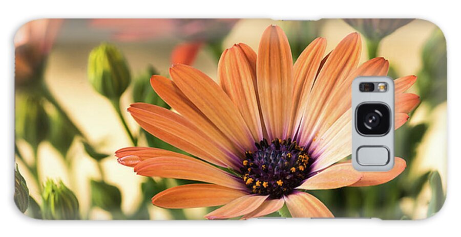 Floral Galaxy Case featuring the photograph Beauty In The Garden by Ken Mickel