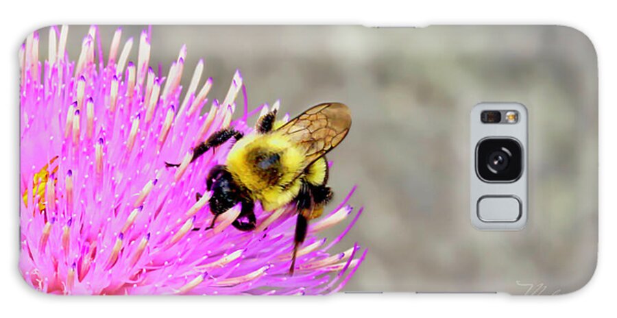 Macro Photography Galaxy S8 Case featuring the photograph Bee On Pink Bull Thistle by Meta Gatschenberger