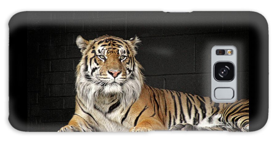 Tiger Galaxy Case featuring the photograph Bengal Tiger by Doc Braham