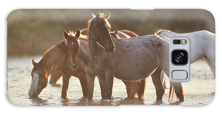 Salt River Wild Horses Galaxy Case featuring the photograph Bird on a Horse by Shannon Hastings