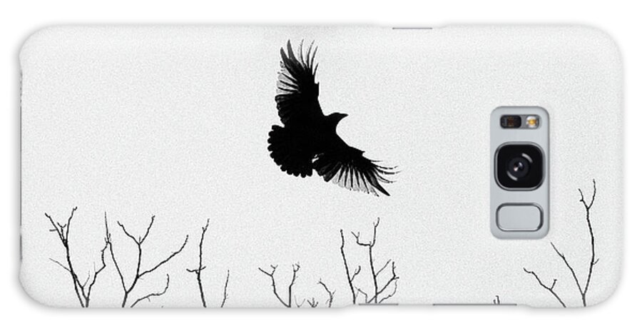 Birds Galaxy Case featuring the photograph Birds 1 by Benny Woodoo