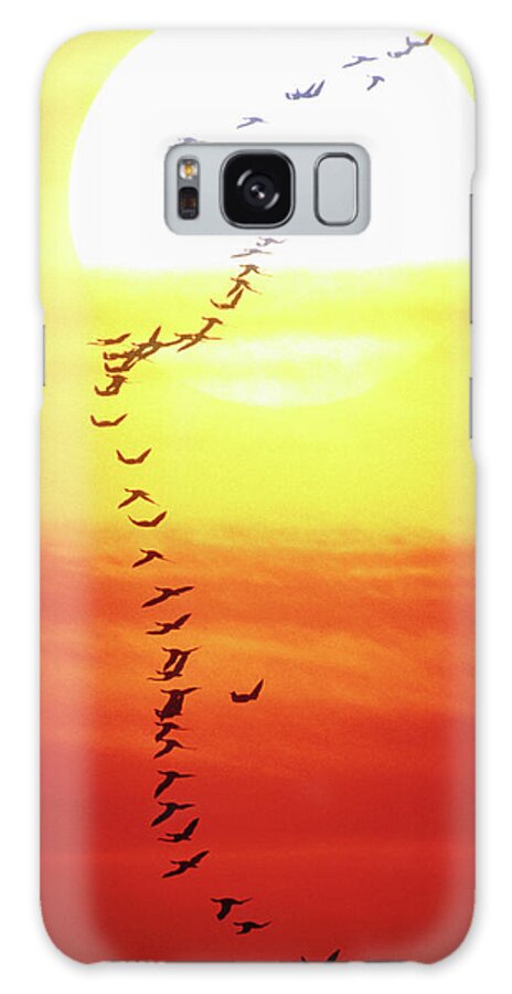 Scenics Galaxy Case featuring the photograph Birds Flying In Formation, Sunset by David De Lossy