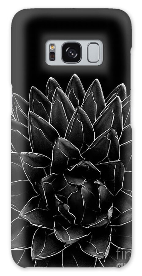 Black-and-white Galaxy Case featuring the mixed media Black Agave Chic #1 #succulent #decor #art by Anitas and Bellas Art