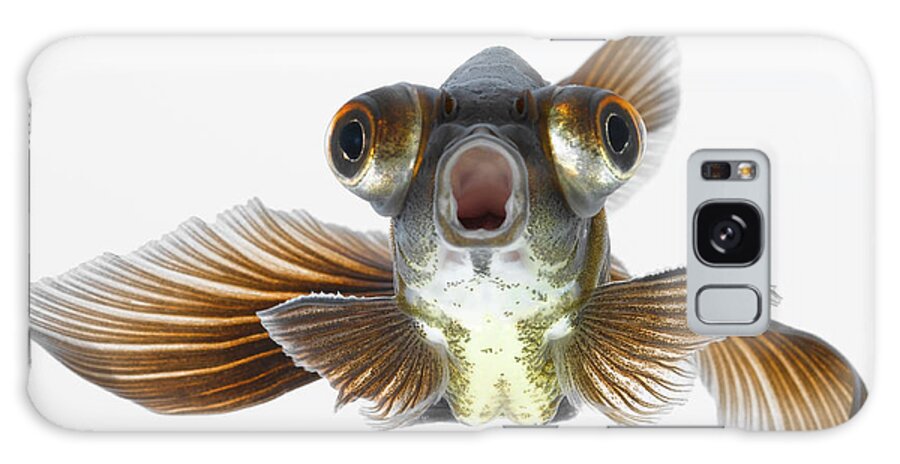 White Background Galaxy Case featuring the photograph Black Moor Goldfish Carassius Auratus by Don Farrall