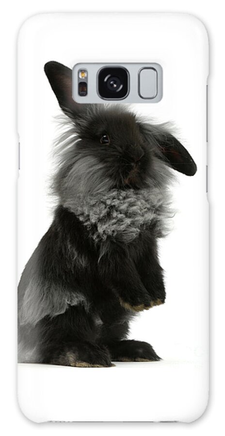 Black Galaxy Case featuring the photograph Black Rough Bunny by Warren Photographic