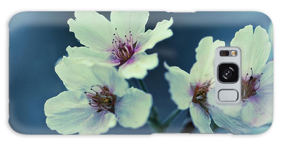 Blossoms Galaxy Case featuring the photograph Blossoming - Flower Photography by Melanie Alexandra Price