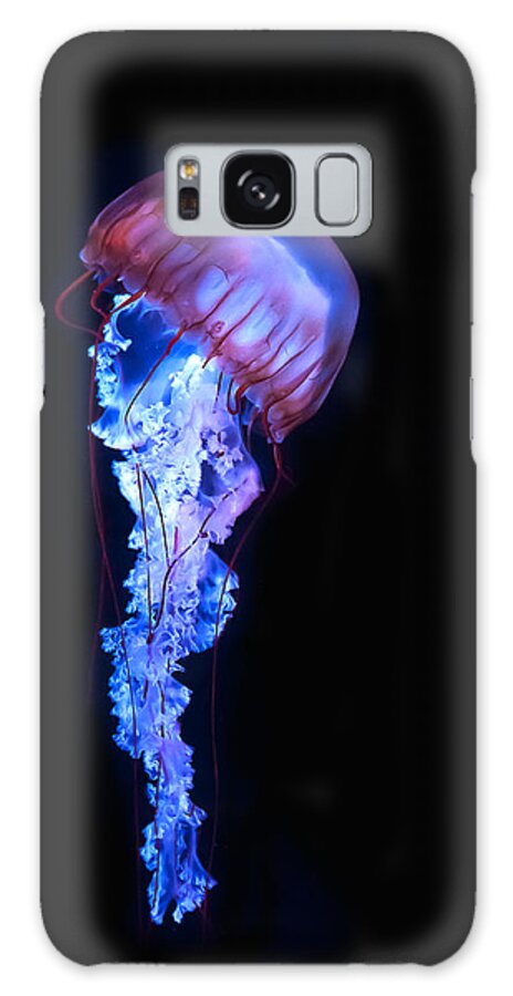 Underwater Galaxy Case featuring the photograph Blue And Purple Jellyfish by Maria Aiello