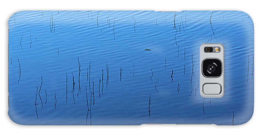 Reed Galaxy Case featuring the photograph Blue Hour Reeds on a Pond by William Dickman