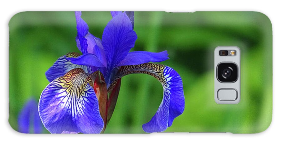 Blue Galaxy Case featuring the photograph Blue Iris by Julia Wilcox