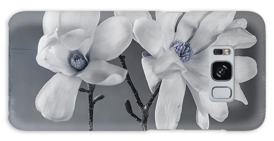 Blue Magnolia 3 Galaxy Case featuring the photograph Blue Magnolia 3 by Lightboxjournal