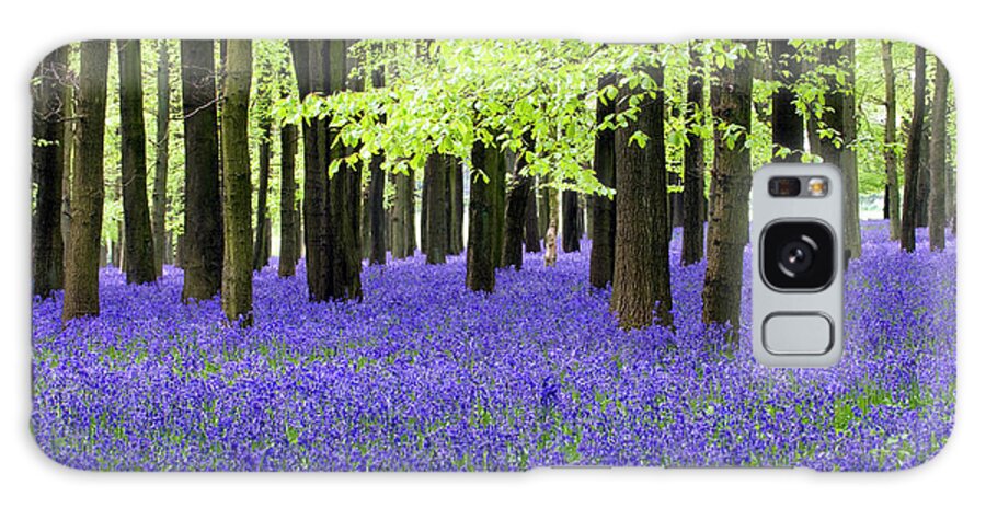 Scenics Galaxy Case featuring the photograph Bluebell Wood by Grahamheywood