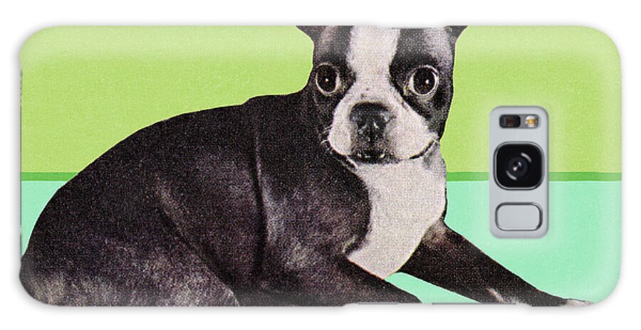 Animal Galaxy Case featuring the drawing Boston Terrier Dog by CSA Images