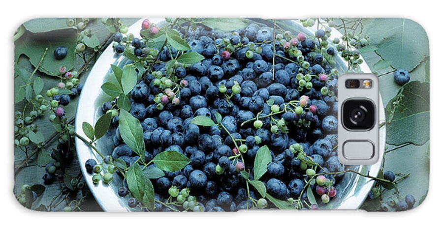 Crockery Galaxy Case featuring the photograph Bowl Of Blueberries by Atu Images