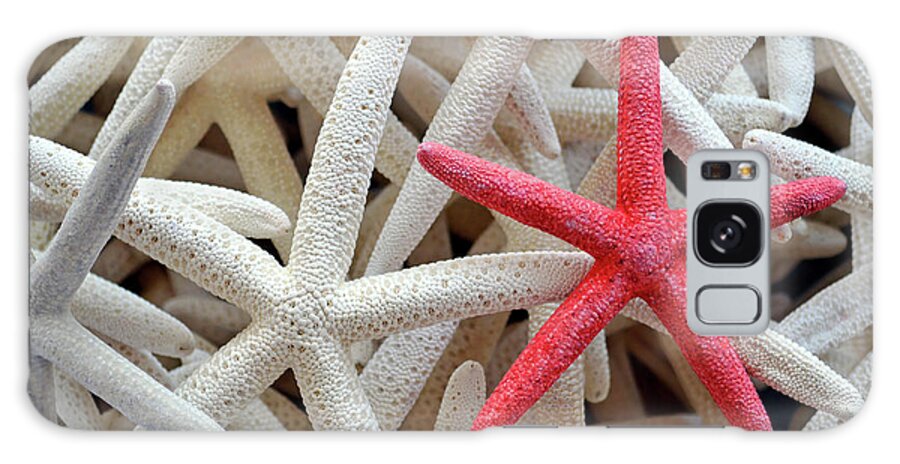 Heap Galaxy Case featuring the photograph Brightly Dyed Red Among White Starfish by Deborahmaxemow