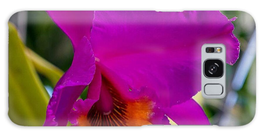 Orchid Galaxy S8 Case featuring the photograph Brilliant Orchid by Susan Rydberg