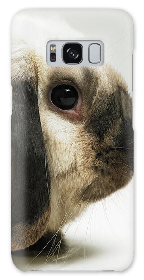 Pets Galaxy Case featuring the photograph Brown And White Rabbit, Close-up by Michael Blann