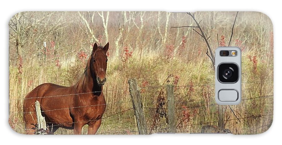 Horse Galaxy Case featuring the photograph Brown Beauty by Kathy Chism