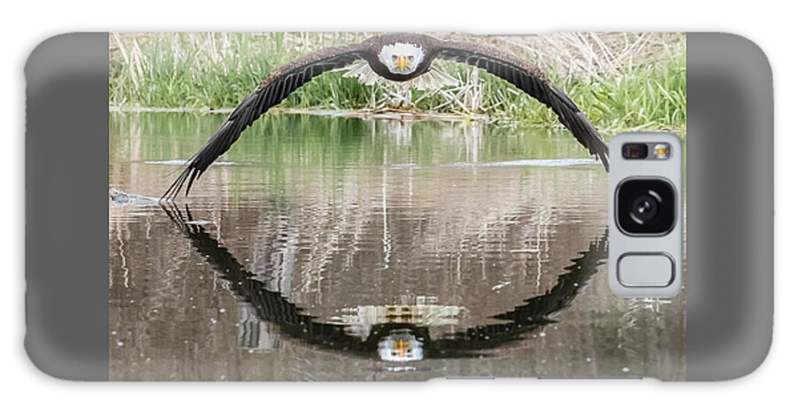 Eagle Galaxy Case featuring the photograph Bruce the Bald Eagle by Steve Biro
