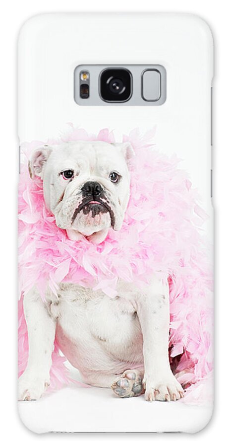 Pets Galaxy Case featuring the photograph Bulldog Wearing Feather Boa by Max Oppenheim