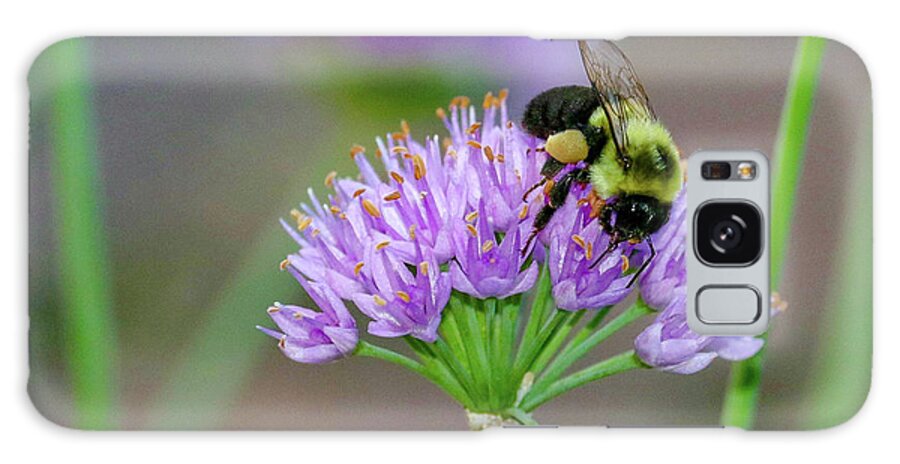 Beautiful Galaxy Case featuring the photograph Bumble Bee on Lavender by Susan Rydberg