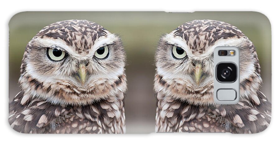 Natural Pattern Galaxy Case featuring the photograph Burrowing Owls by Tony Emmett