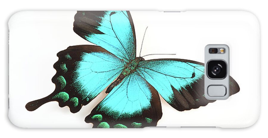 White Background Galaxy Case featuring the photograph Butterfly Isolated On White by Real444