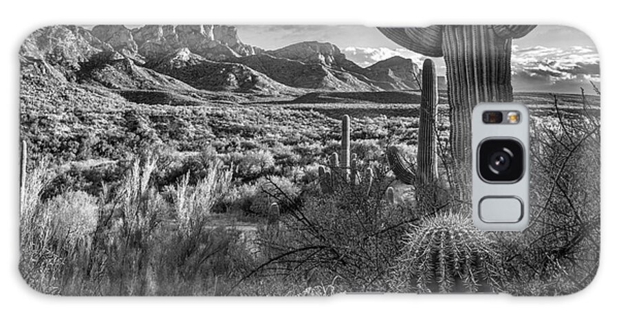 Disk1216 Galaxy Case featuring the photograph Cacti And Santa Catalina Mountains by Tim Fitzharris