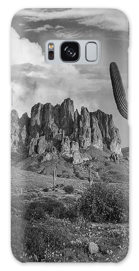 Disk1216 Galaxy Case featuring the photograph Cacti And Superstition Mts. by Tim Fitzharris