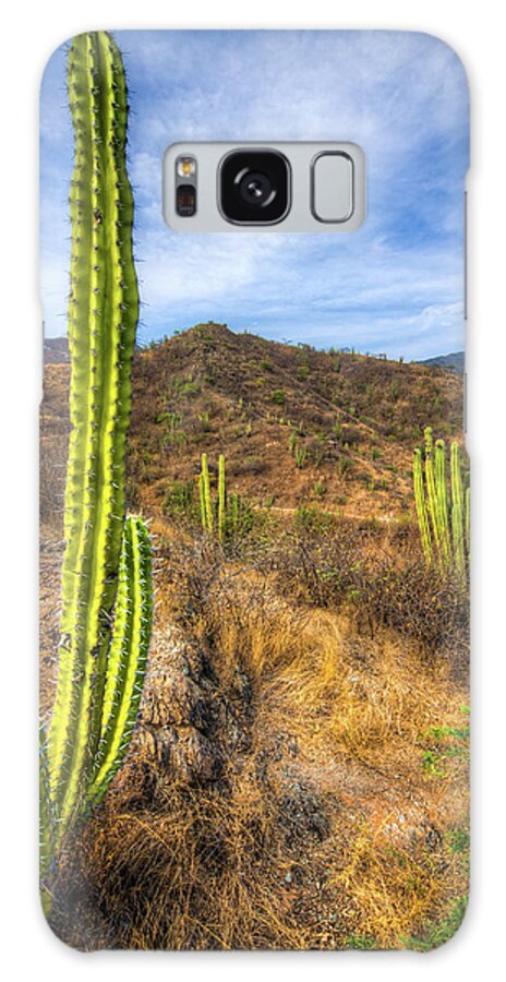 Grass Galaxy Case featuring the photograph Cactus Mountain by Alejandro Tejada