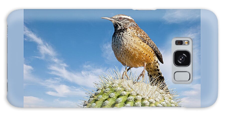 Adult Galaxy Case featuring the photograph Cactus Wren on a Saguaro Cactus by Jeff Goulden