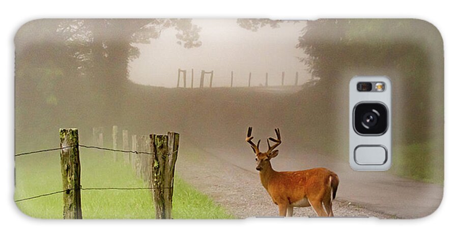 Cades Cove Galaxy Case featuring the photograph Cades Cove Buck on a Foggy Morning by Marcy Wielfaert