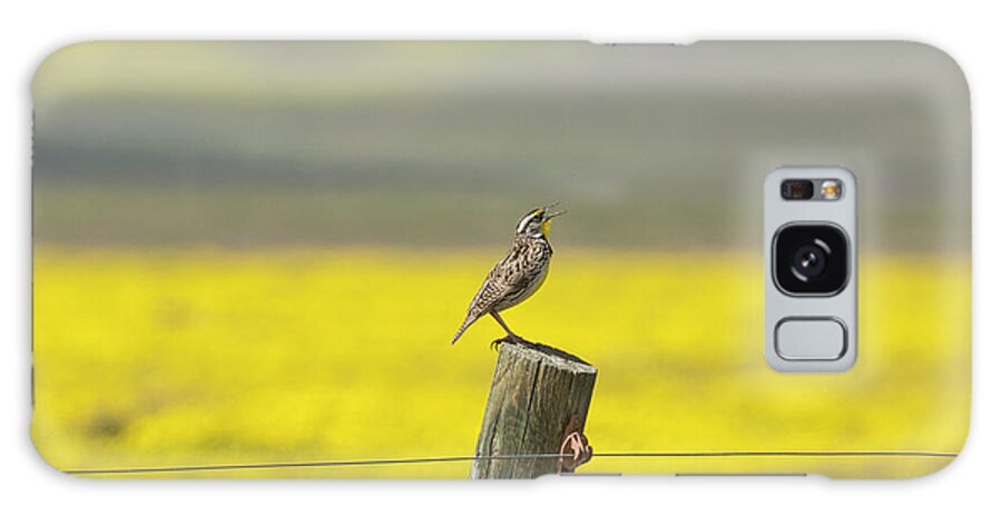 Bird Galaxy S8 Case featuring the photograph California A Western Meadowlark by Brenda Tharp