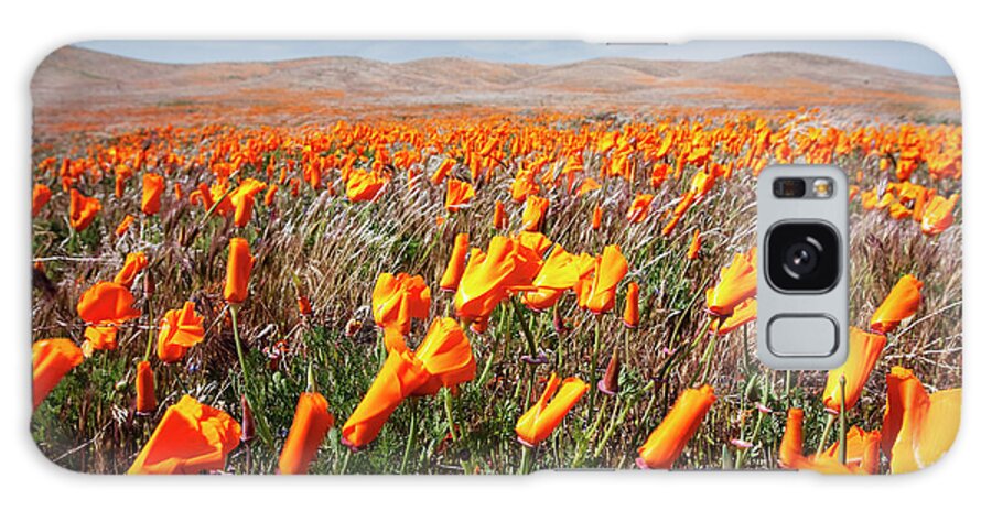 California Galaxy Case featuring the photograph California Poppies by Ben Neumann