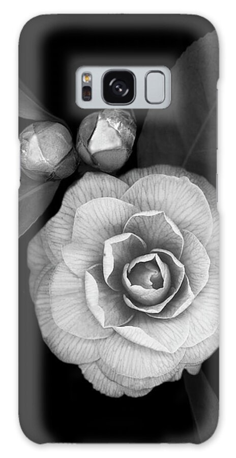 Camellia With Buds Galaxy Case featuring the painting Camellia With Buds B-w by Susan S. Barmon