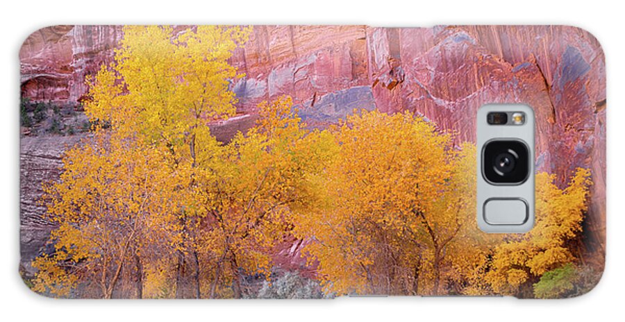 Canyon De Chelly Galaxy Case featuring the photograph Canyon de Chelly Fall Colors 1812 by Kenneth Johnson