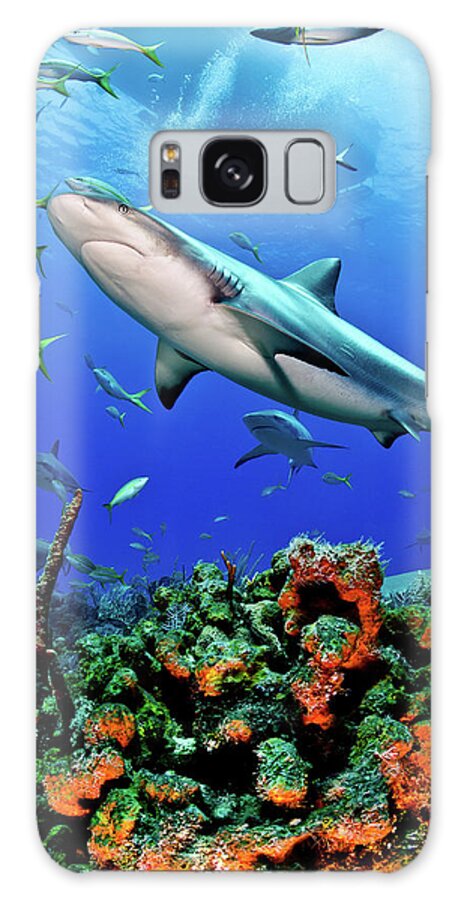 Underwater Galaxy Case featuring the photograph Caribbean Reef Shark And Reef by Todd Bretl Photography