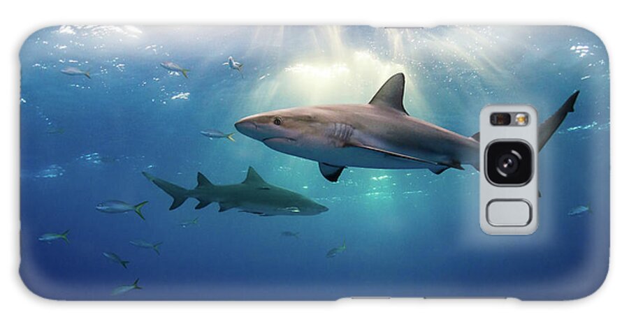 Underwater Galaxy Case featuring the photograph Caribbean Reef Sharks And Sun Rays by Todd Bretl Photography
