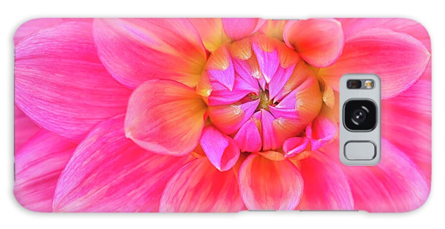 Cerise-pink Dahlia Flower Galaxy Case featuring the photograph Cerise-pink Dahlia Flower by Cora Niele