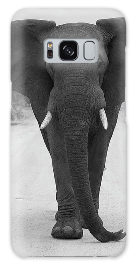 Elephant Galaxy Case featuring the photograph Charging Elephant by Patrick Nowotny