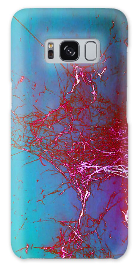 Abstract Galaxy Case featuring the photograph Charlotte's Pollack by Judy Kennedy