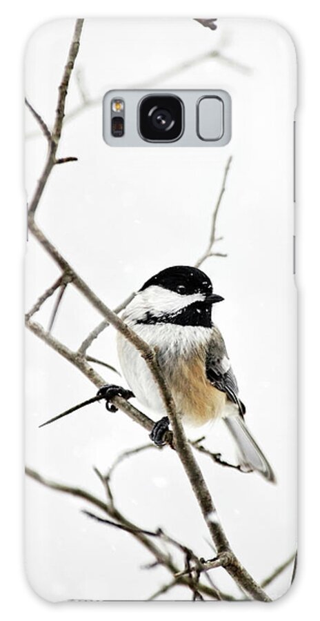 Chickadee Galaxy S8 Case featuring the photograph Charming Winter Chickadee by Christina Rollo