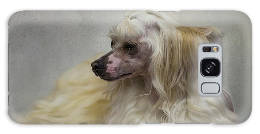 Chinese Crested Dog Galaxy Case featuring the photograph Chinese Crested Dog Powderpuff-2 by Eva Lechner