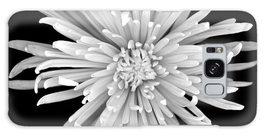 Flowers Galaxy Case featuring the photograph Chrysanthemum #1 B-w by Susan S. Barmon