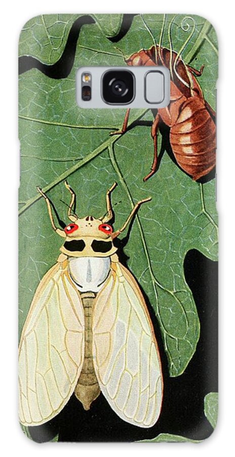Insects Galaxy Case featuring the painting Cicada by Robert Evans Snodgrass