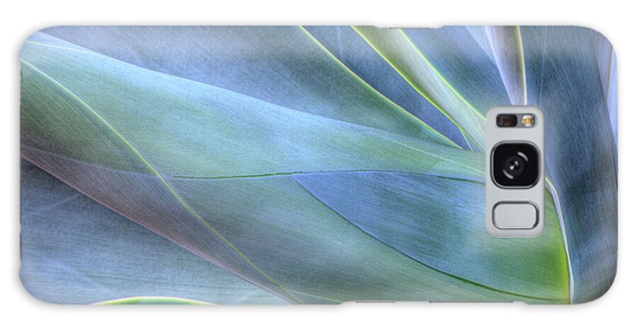 Agave Galaxy Case featuring the photograph Close-up Of Agave, Maui, Hawaii, Usa by Gallo Images/danita Delimont