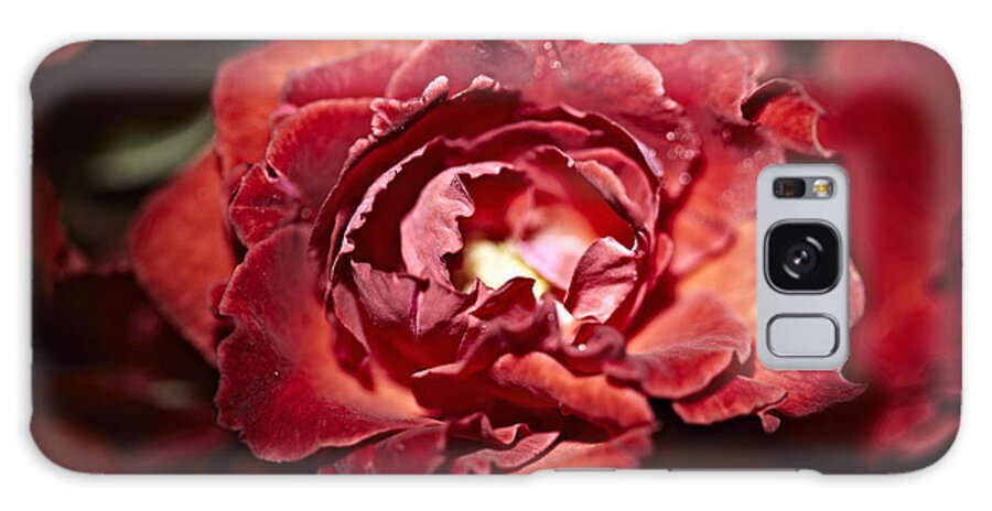 Outdoors Galaxy Case featuring the photograph Close Up Of Red Rose For Sale At Market by Niels Busch