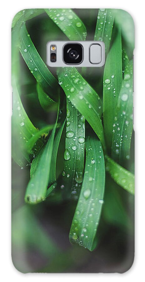 Grass Galaxy Case featuring the photograph Close-up Of Wet Green Grass by Cavan Images