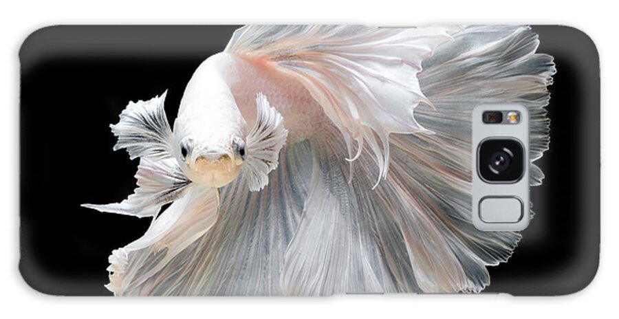 Fancy Galaxy Case featuring the photograph Close Up Of White Platinum Betta Fish by Nuamfolio