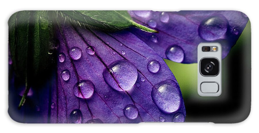 Purple Galaxy Case featuring the photograph Closeup Of Purple Flower by Florence Barreau